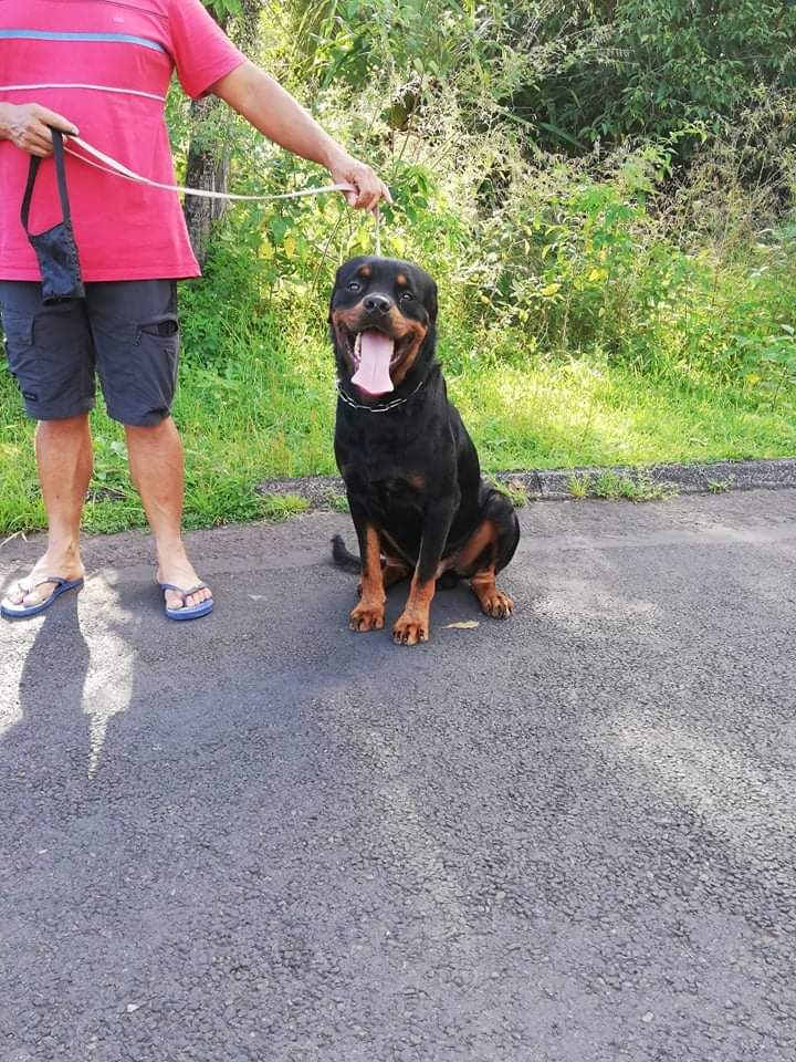 Okboy des gardiens du kirchberg